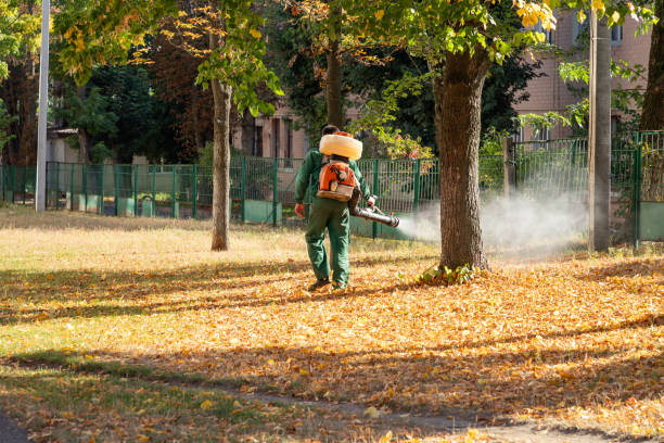 Best Insect Control  in Edna, TX