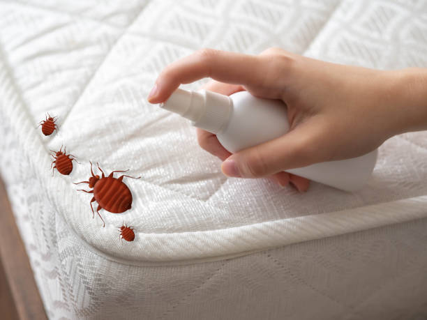 Best Emergency Pest Control  in Edna, TX